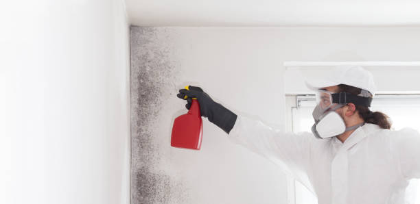Best HVAC Mold Remediation in Sundown, TX